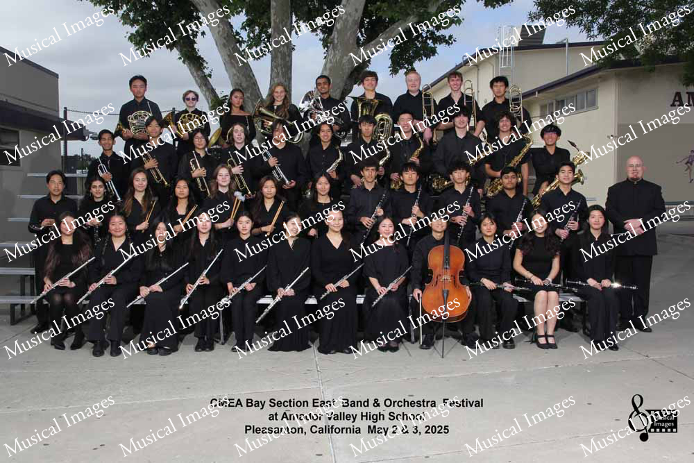 Musical Images